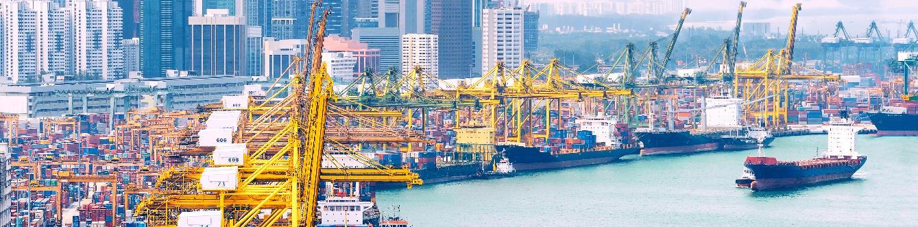 Container ships and gantry cranes in a busy port