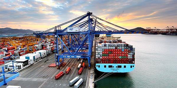 Container ship berthed at a container terminal